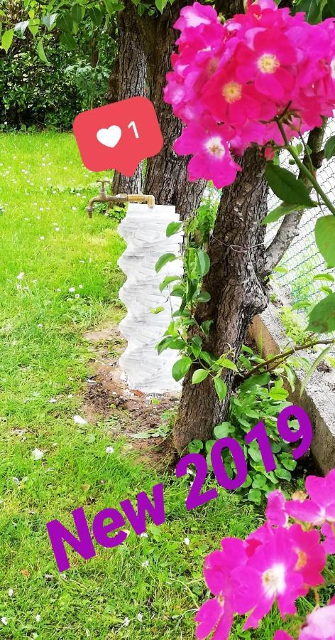 Casa Mite Διαμέρισμα Pietrasanta Εξωτερικό φωτογραφία